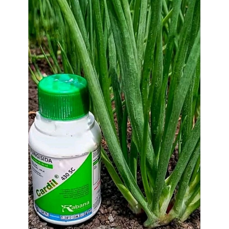 Fungisida Cardil 430 SC 80 ml (Tebukonazole)