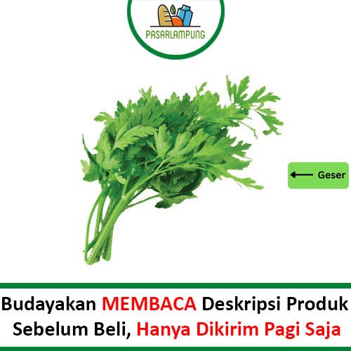 

Daun Seledri Per Ikat Pasar Lampung