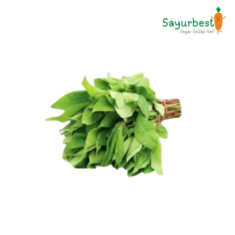 

Daun Singkong Isi 3-4 Ikat