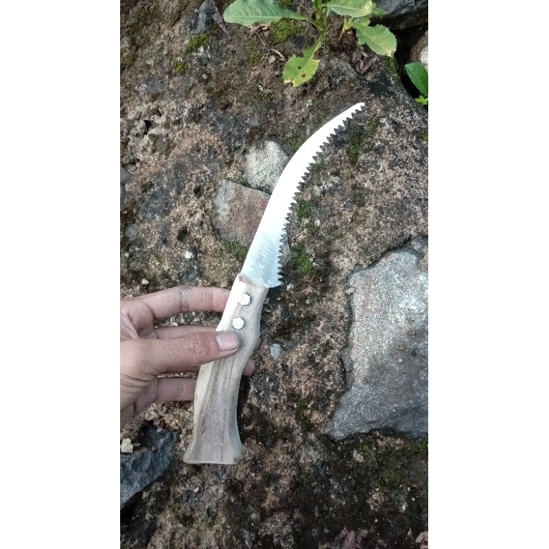 gergaji bonsai mini lengkung super tajam