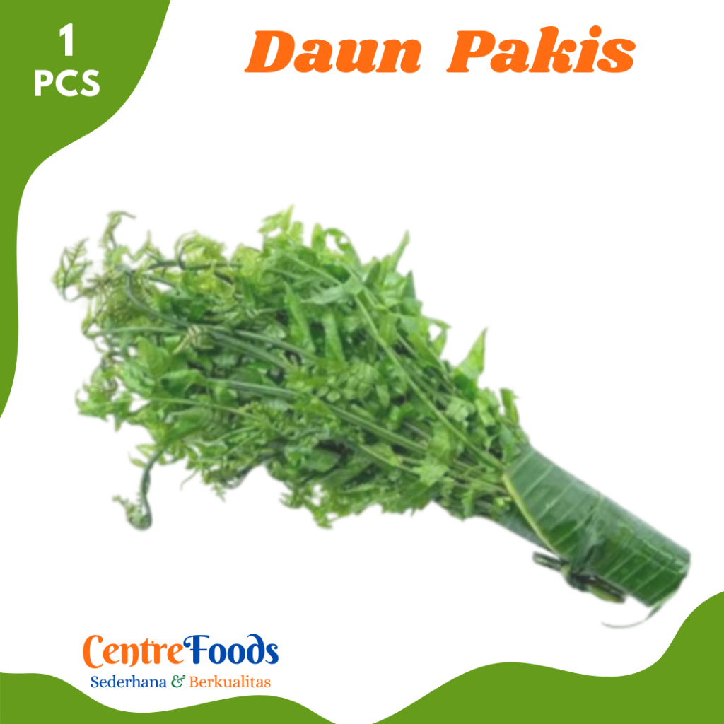 

DAUN PAKIS Paku - Sayur Pakis Paku Fresh | 1 Ikat [ Harga Per PCS ]