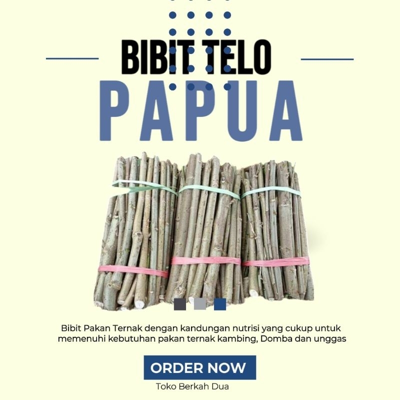Bibit Tanaman Telo Papua - Bibit Stek Telo Papua  - Pakan Ternak