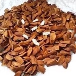

HERBAL BIJI MAHONI500GRM