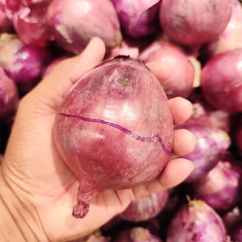 

Red Union Import per kg kiri instan bawang merah import