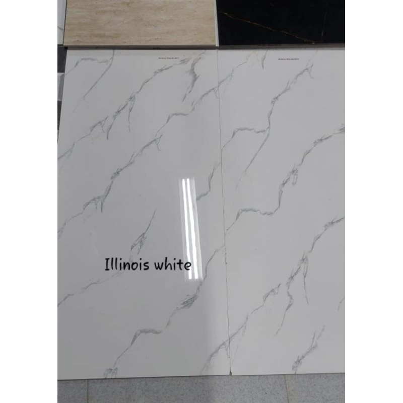 granit lantai 120x60 ilions white