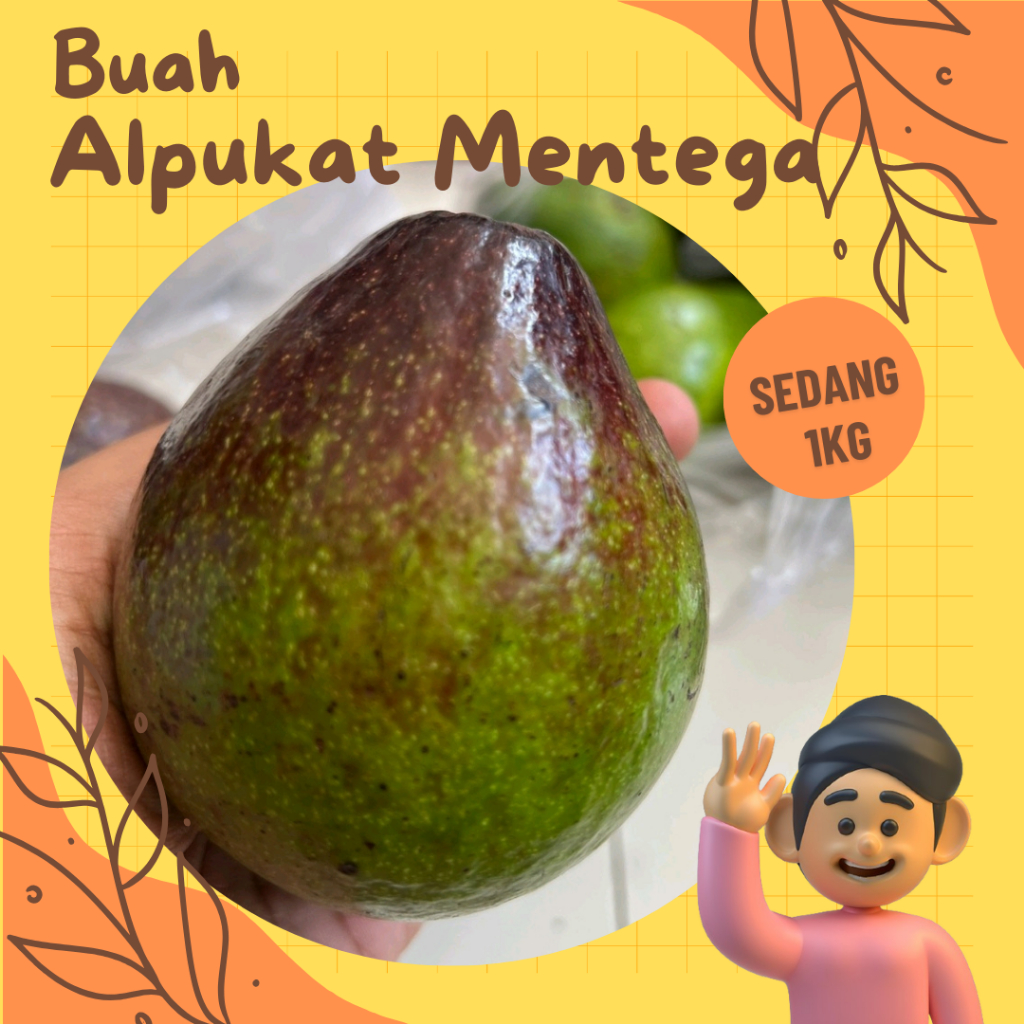 

Alpukat Mentega Tanggung Isi 4/5 Buah Berat 1kg