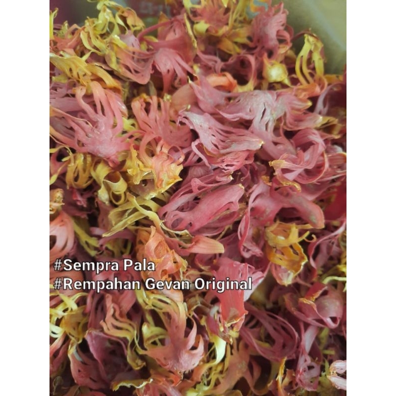 

Bunga pala kering Original 1kg Jemuran|| Asli Original