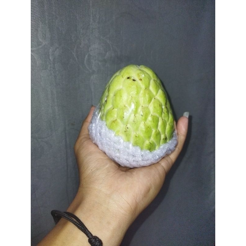 

Srikaya lokal jumbo manis fresh 1kg