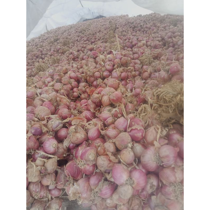 

bawang merah asli Nganjuk murah