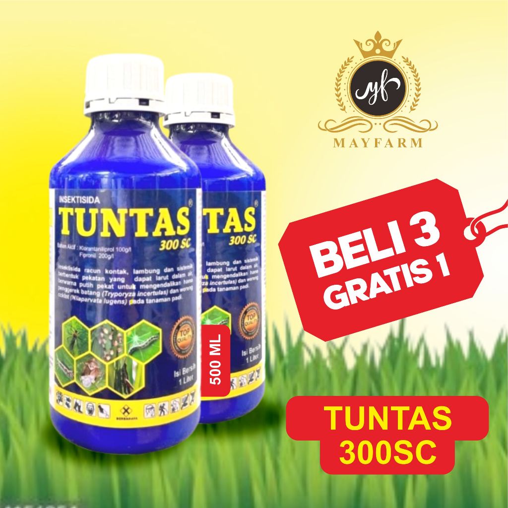TUNTAS 300 SC 500 ML - Insektisida Ampuh Atasi Ulat Grayak, Wereng, dan Penggerek Batang sundep kutu