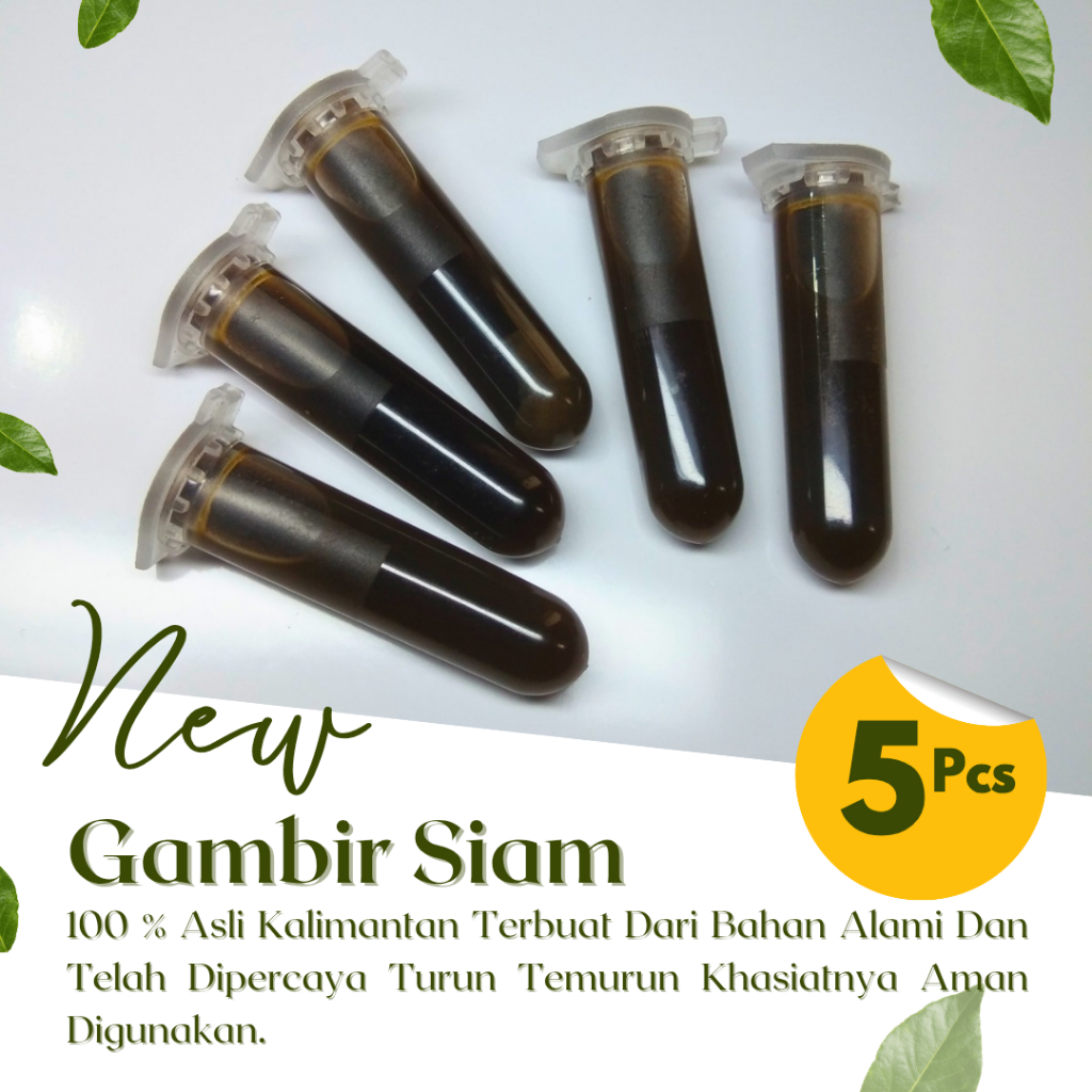 

Gambir Siam Original Gambir Serawak Asli Kalimantan Kualitas Teruji Jaminan Ampuh