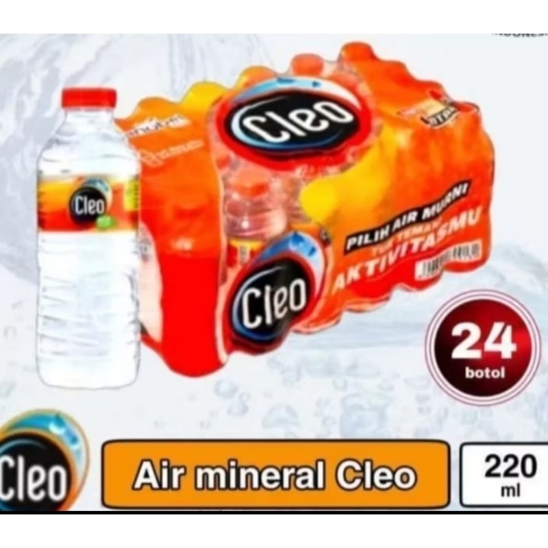 

Cleo Botol Mini isi 24 botol