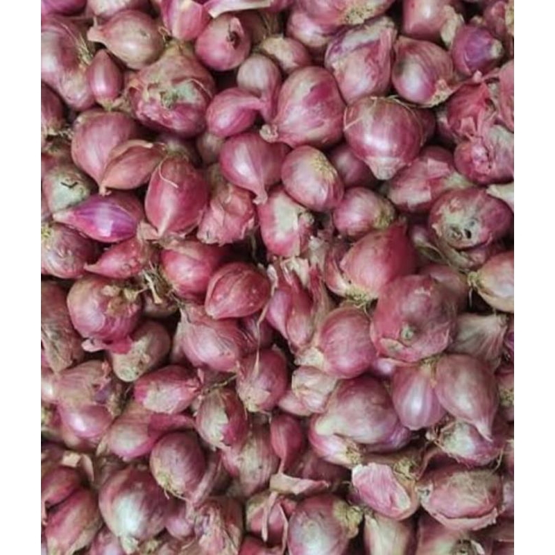 

bawang merah 500g