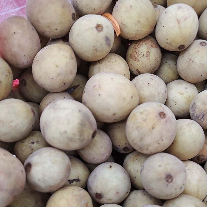 

BUAH DUKU MANIS 1KG