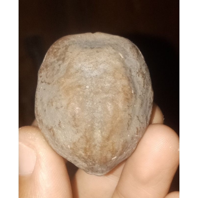 Muncang Adu Jalim Si Bedug