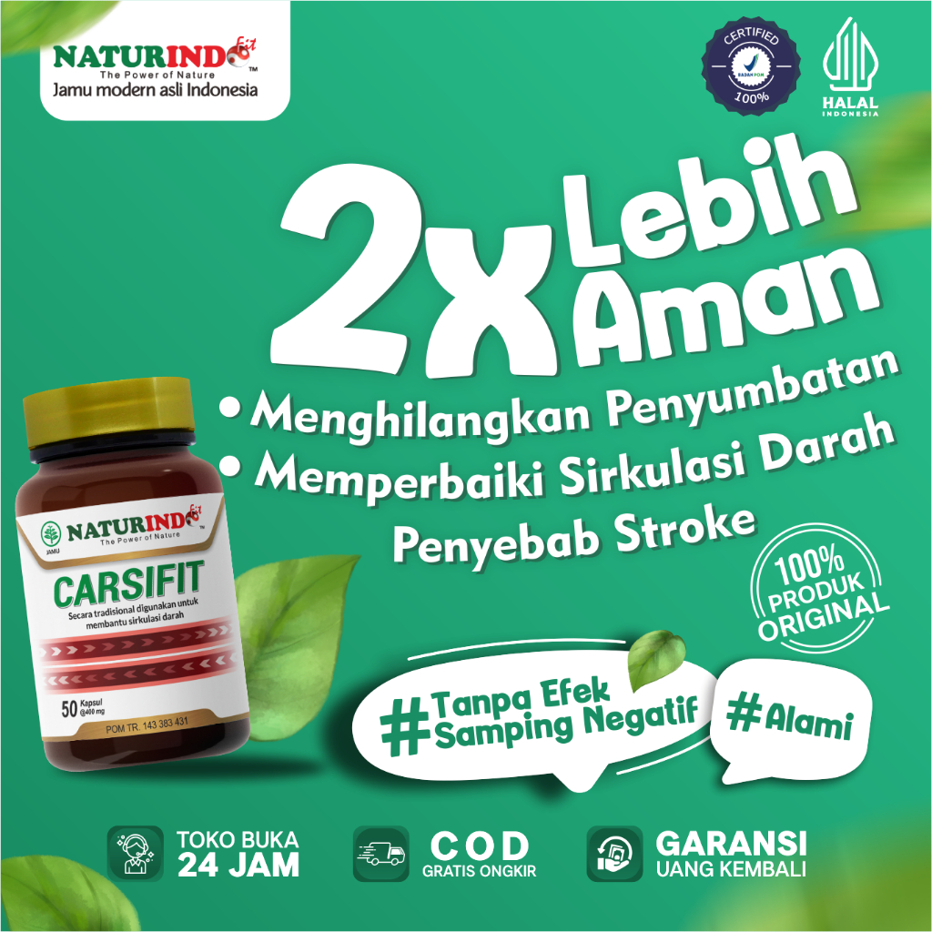 Aurabaik Obat Herbal Sakit Stroke Struk Strok Setruk Struke Carsifit Untuk Stroke Tremor Herbal