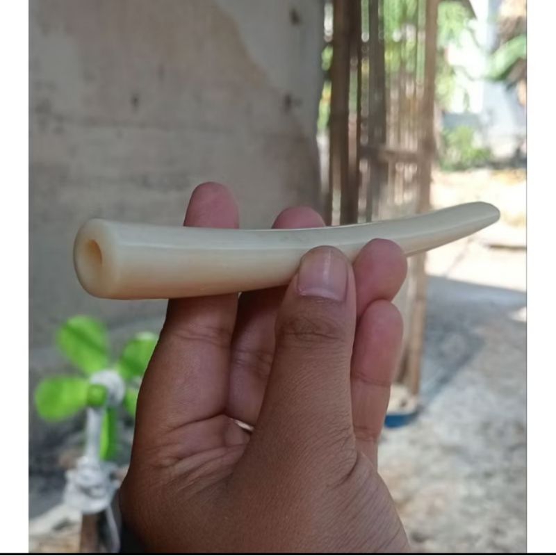 ONCE PIPA TULANG SAPI SUPER TEBAL BANGET