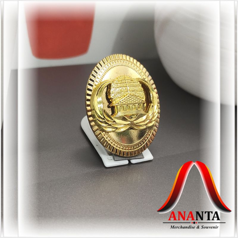 pin korpri asn oval magnet