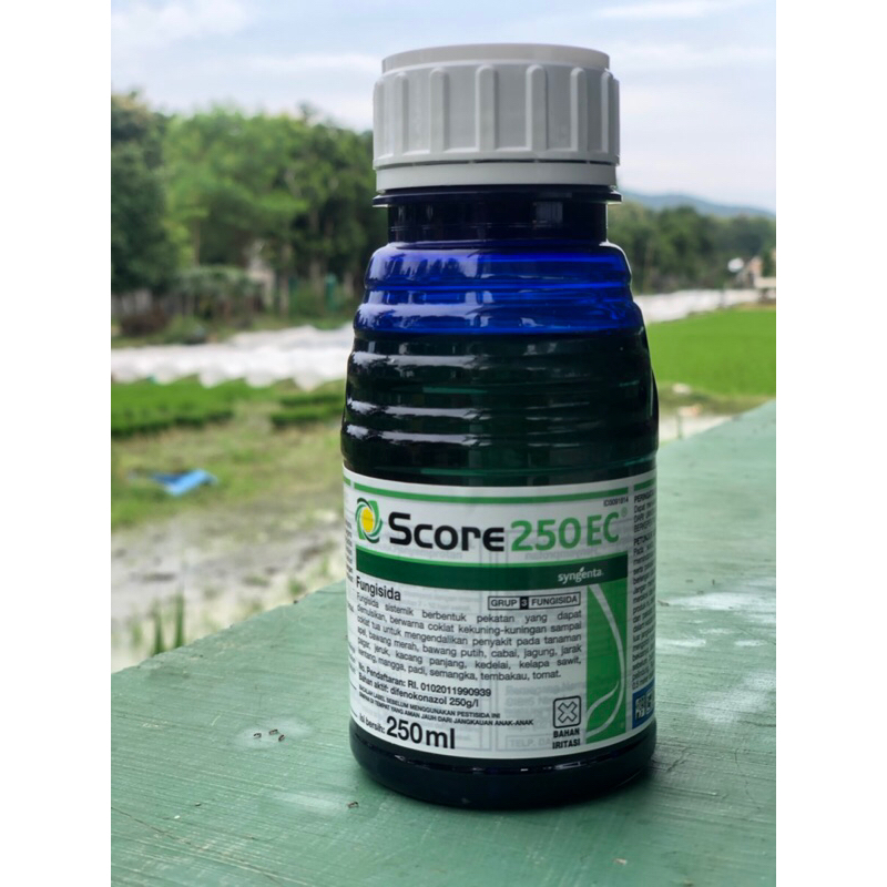 Score EC 250ml Fungisida (Original)