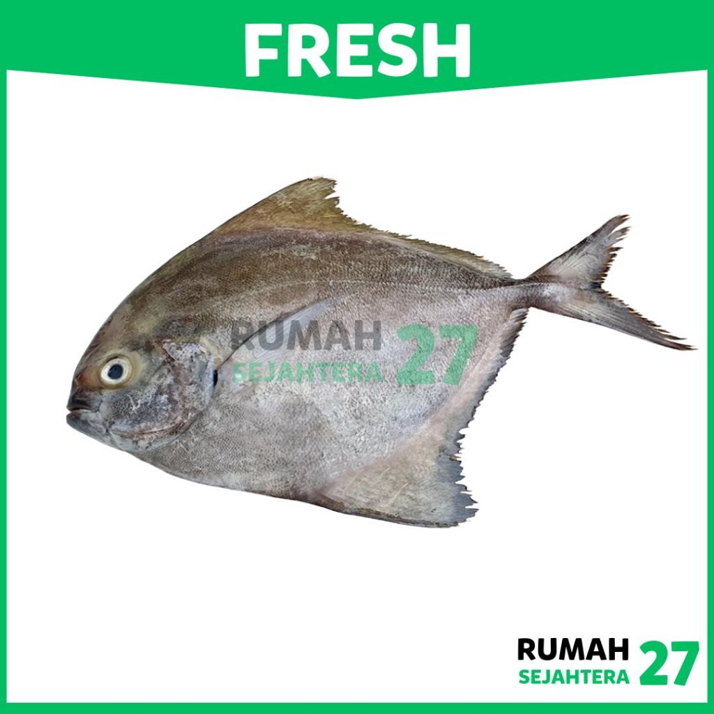 

KIRIM INSTANT DEPOK Ikan Bawal Hitam Fresh Frozen Beku 1 Kg