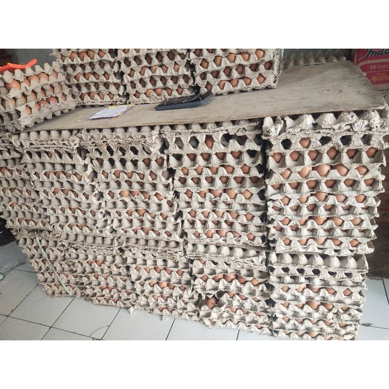 

grosir telur ayam negeri sortir 10 dan 15 kg