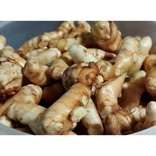 

{ 1KG } KUNYIT PUTIH/TEMU PUTIH { CURCUMA ZEODARIA} SEGAR