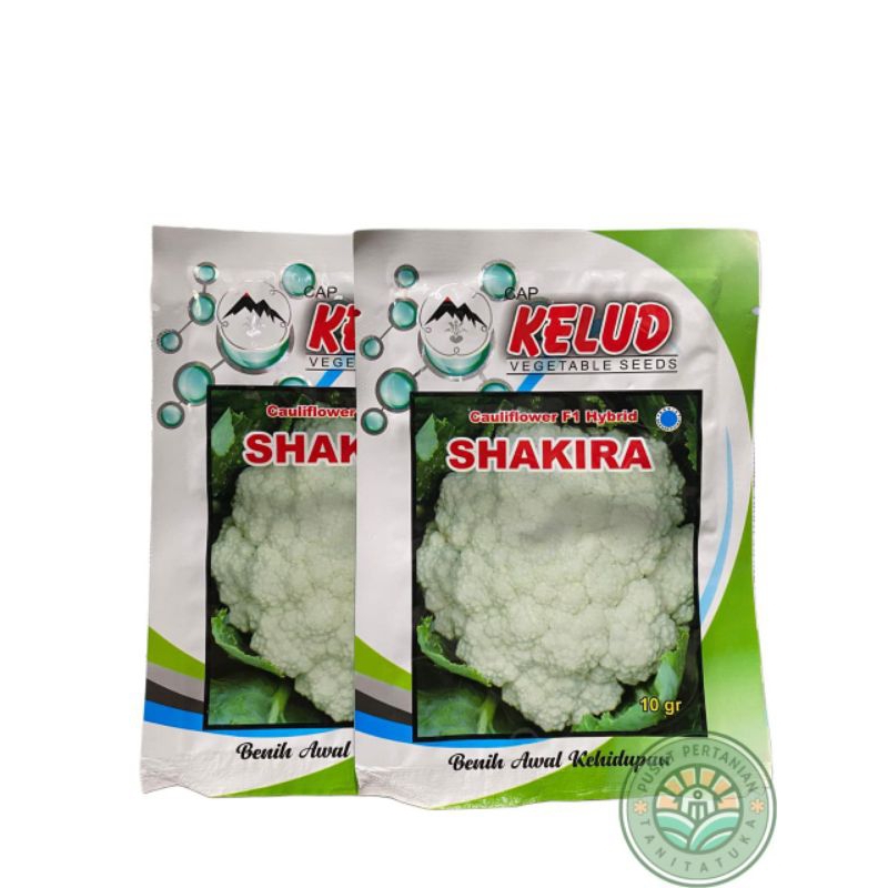 Benih Bunga Kol Shakira F1 Cap Kelud 10gr