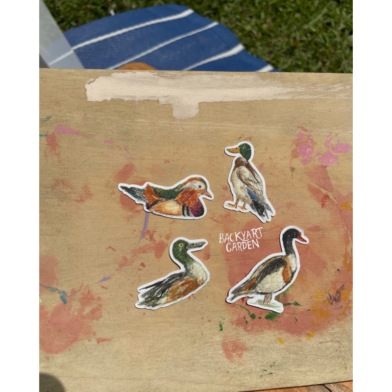 

Sticker Ducks (Mandarin Duck, Mallard, Shoveller, Shelduck) isi 4