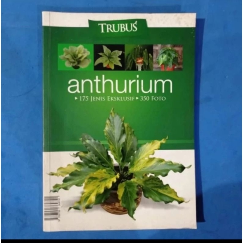 TRUBUS ANTHURIUM- REDAKSI TRUBUS