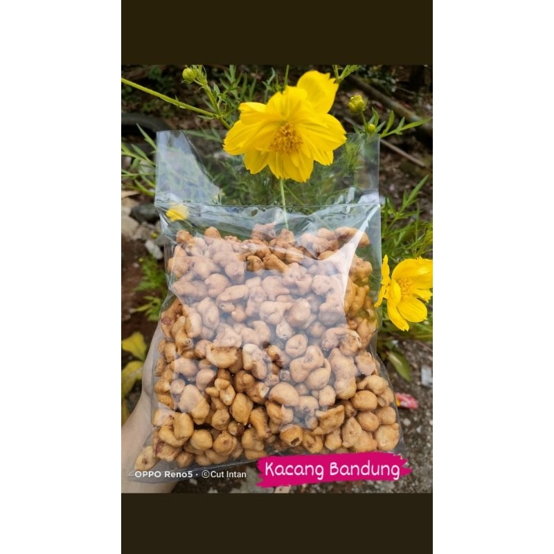 

Kacang Bandung - Cut Intan Snack