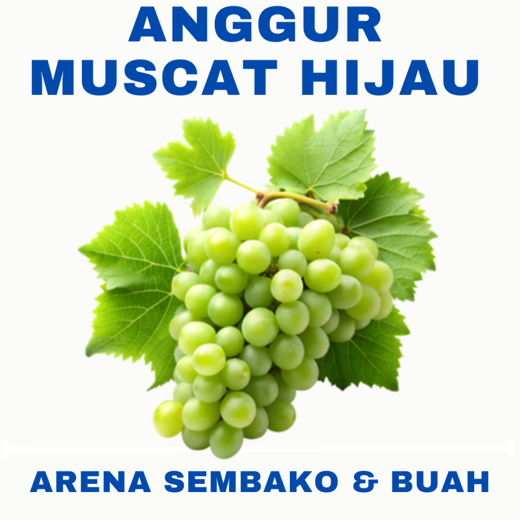 

(BISA COD) PROMOO ANGGUR HIJAU 1KG ARENA BUAH CIKARANG