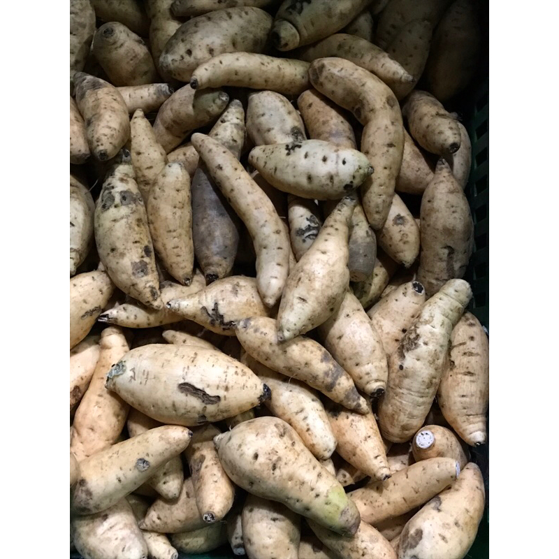 

Ubi Cilembu / Ubi Madu mentah 500 gram