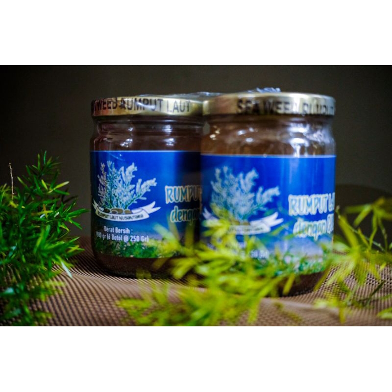 

Minuman Rumput Laut dengan Gula Batu