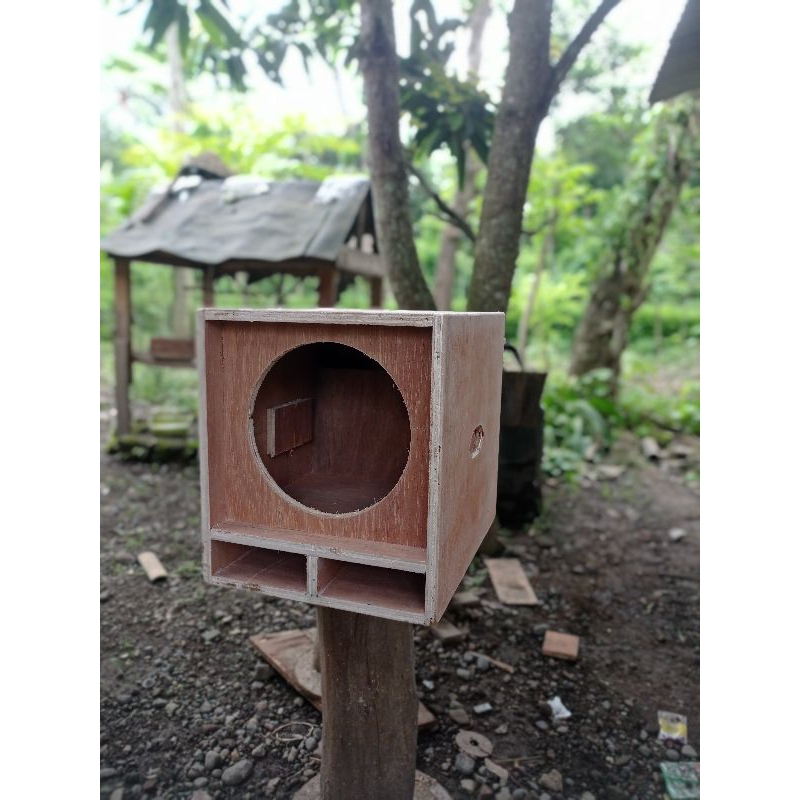 box miniscoop 8 inch single subwoofer