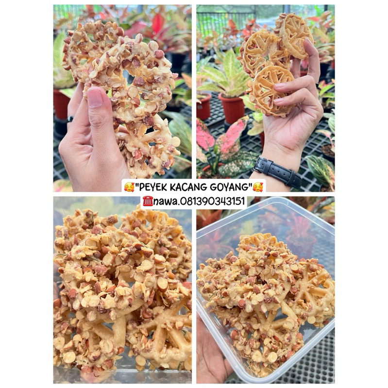 

Peyek Kacang Bergoyang