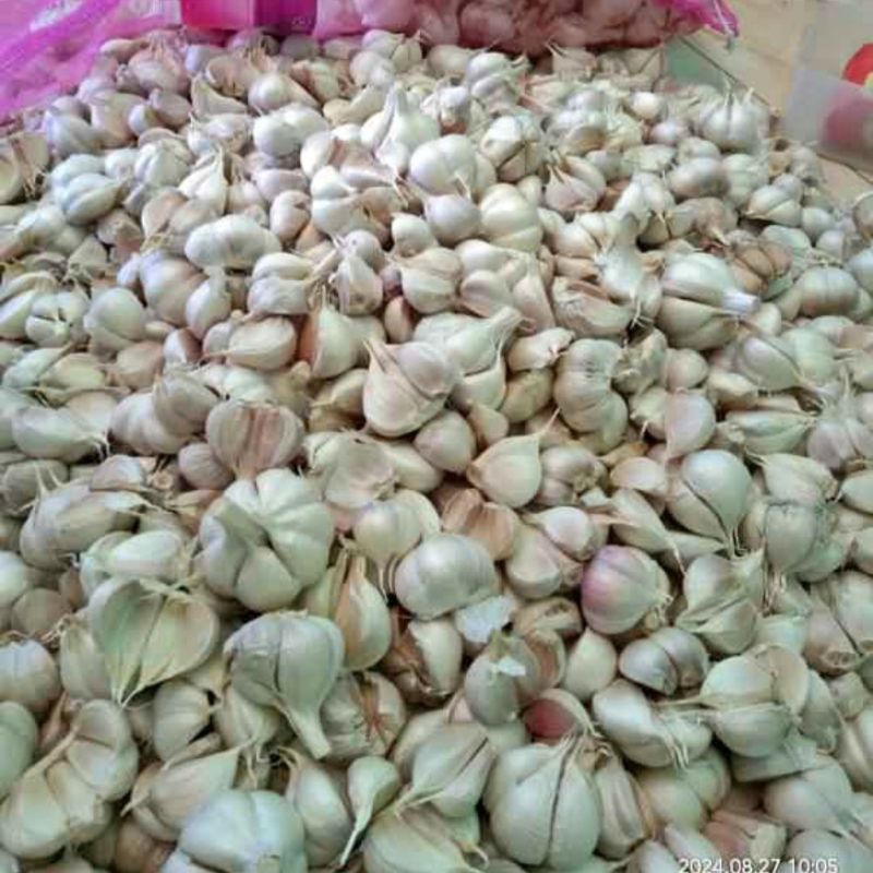 

bawang putih ready stok