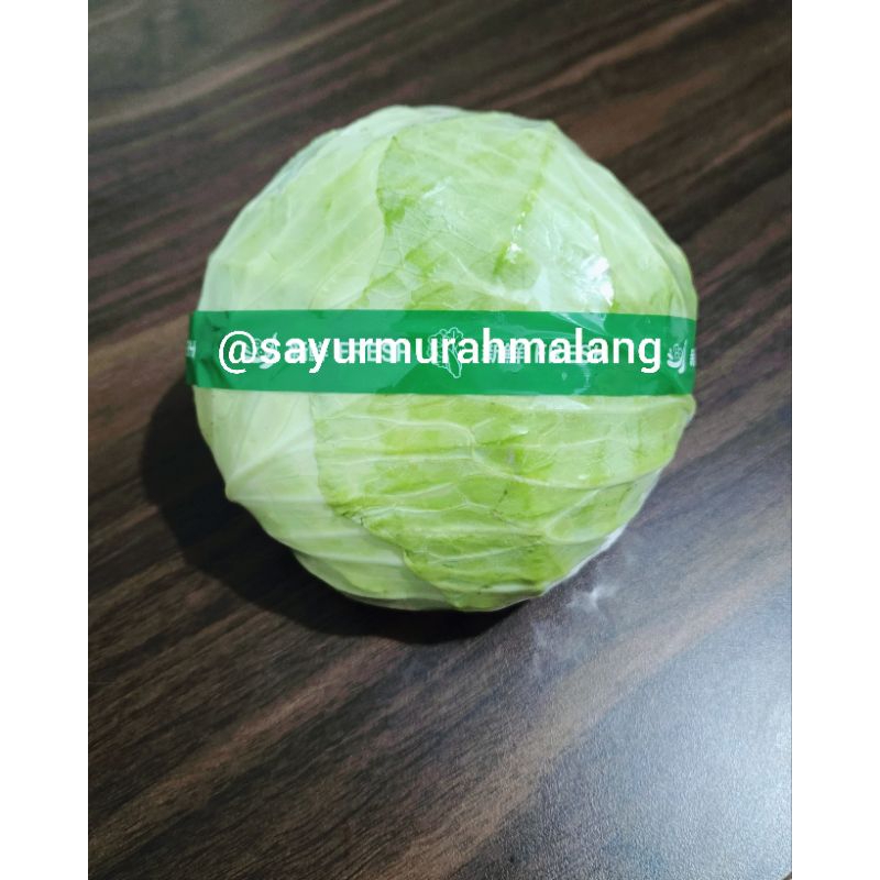 

Kubis | Sayur Kubis | Sayur Murah | Sayur Bersih