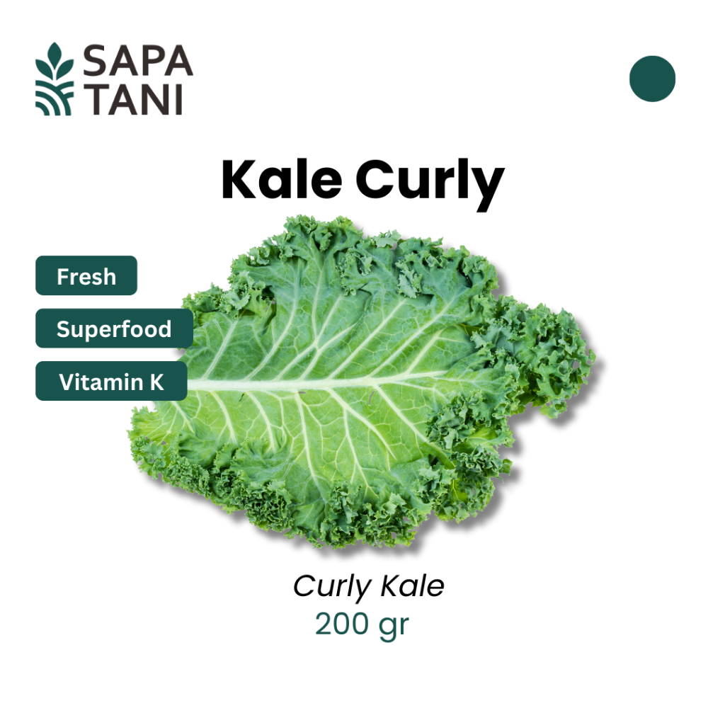 

Sapatani Kale Curly Premium 200gr Sayur Segar Kaya Antioksidan & Serat