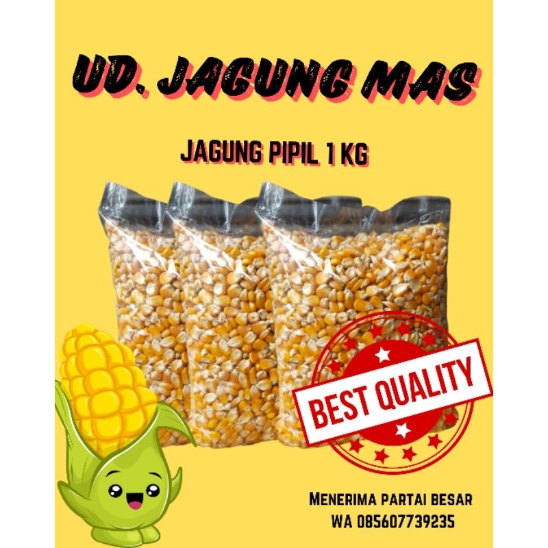

JAGUNG PIPIL 1 KG KERING BERKUALITAS