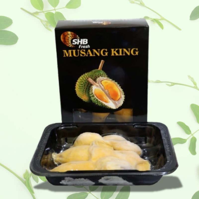 

Durian Musang King Malaysia