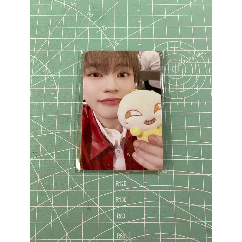 chenle magnet doll photocard only