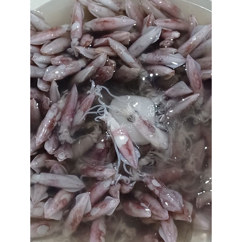 

cumi hitam 500 gram