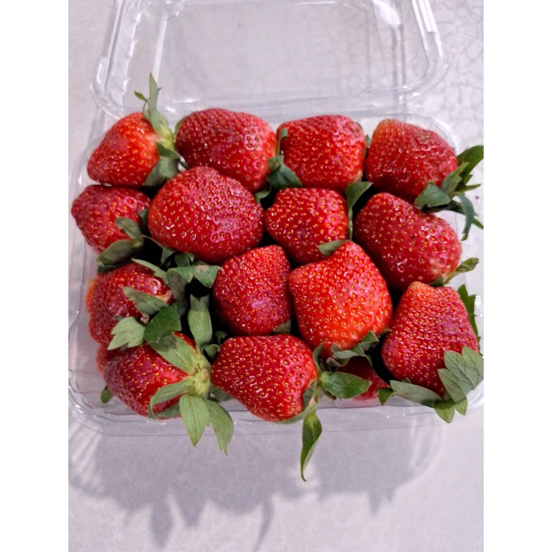 

Strawberry AB (Jumbo+Sedang)