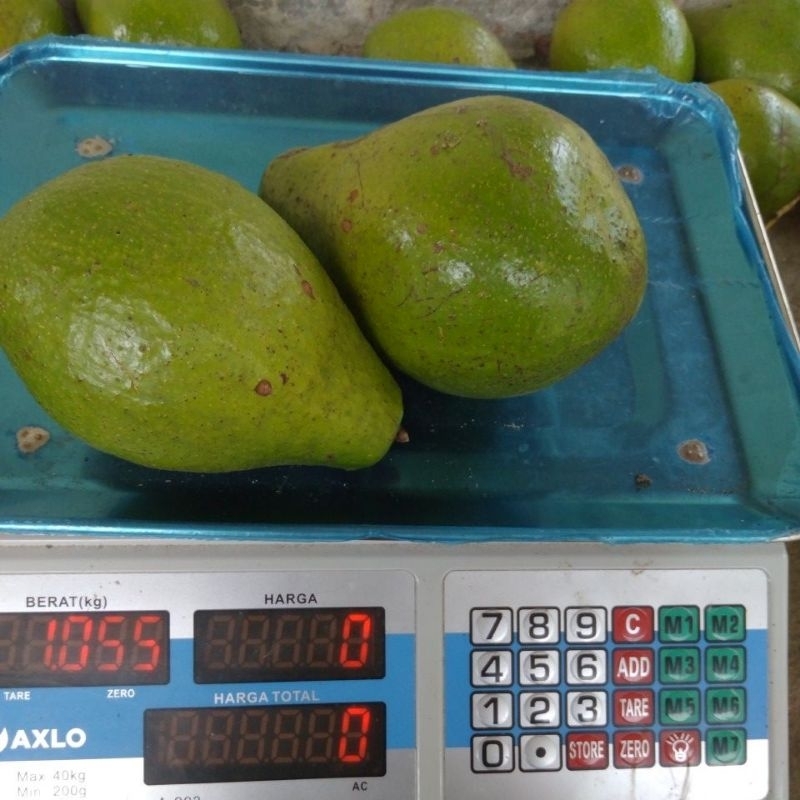 

apukat mentah