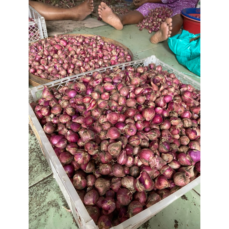 

BAWANG MERAH PEDAS 1kg