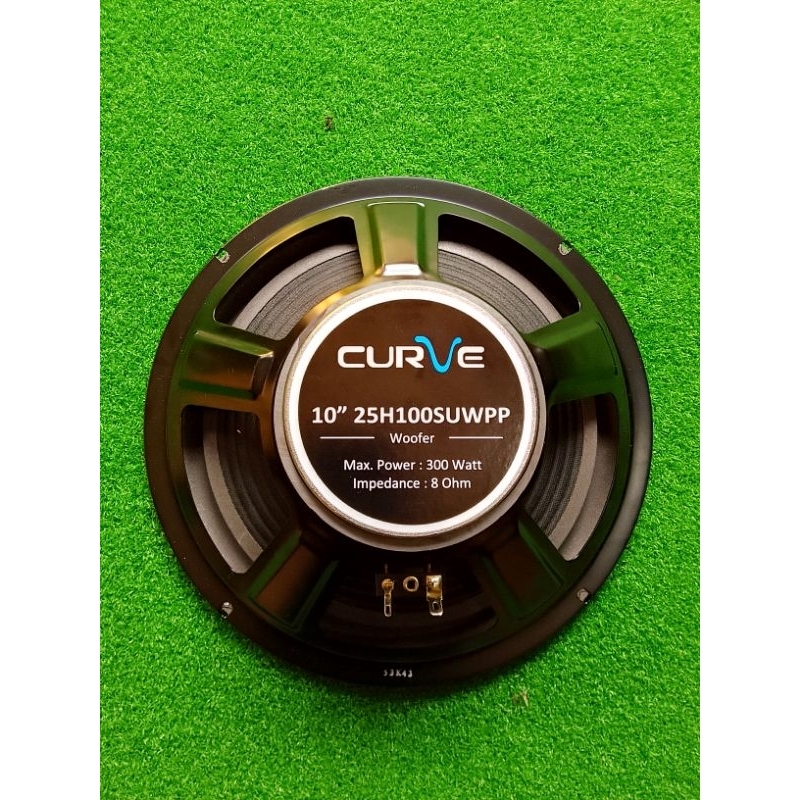 SPEAKER CURVE 10"Wofer