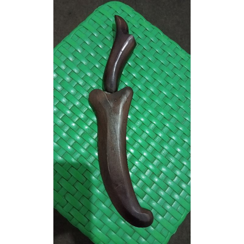 Bdk Sulawesi Sangat Sepuh (Temuan Darat)