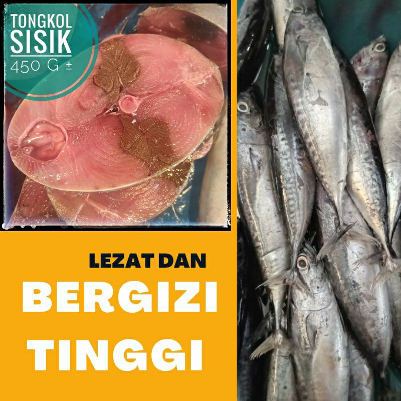 

IKAN LAUT ⫸ TONGKOL SISIK, CAKALANG, Skipjack tuna, TONGKOL BULAT, Pasar pagi instant Pekanbaru