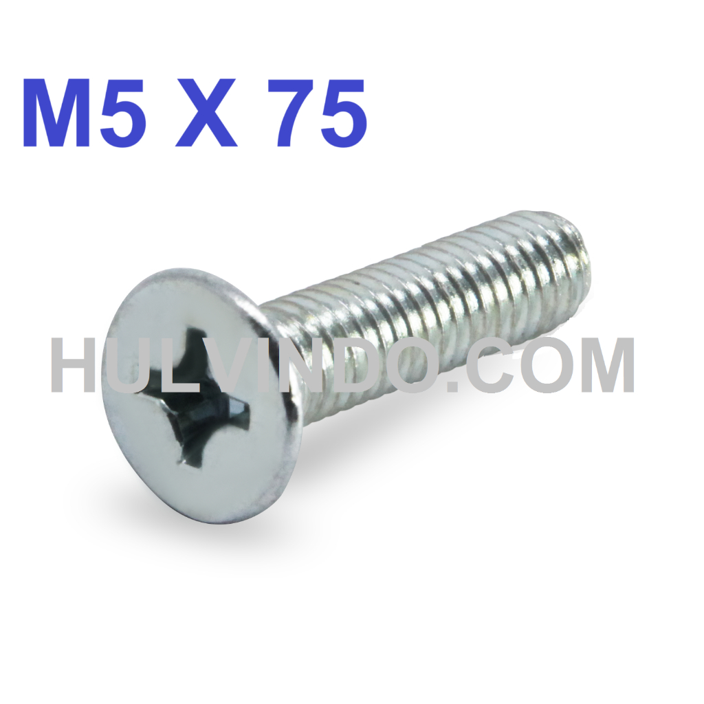 BAUT JF FLAT HEAD M5 X 75