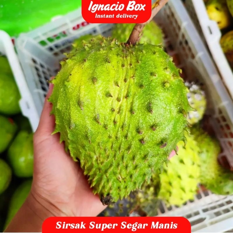 

Buah Sirsak 1kg Super Segar IgnacioBox Manis Seger